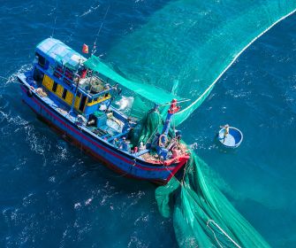 Tarjeta Seguro Marítimo Mercancías Tarjeta de seguro marítimo de mercancías.